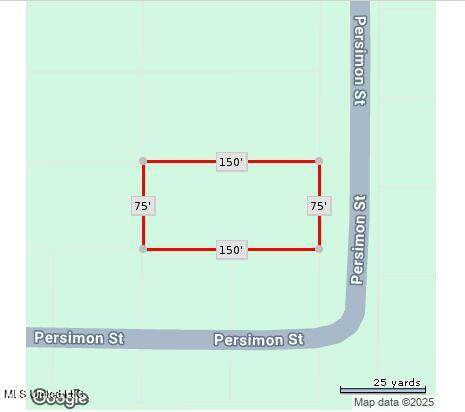  Persimmon Avenue - Photo 1