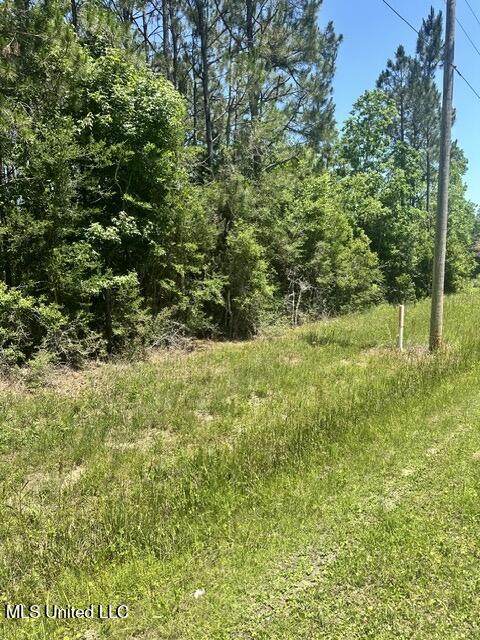 7125 Bayside Drive - Photo 1