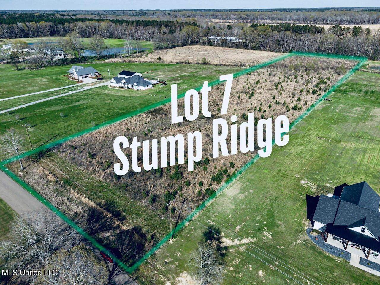 Lot 7 Stump Ridge Road - Photo 1
