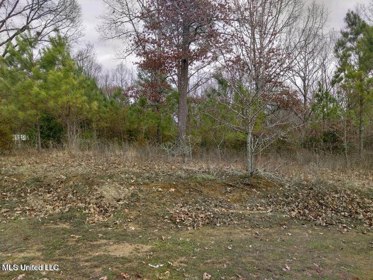 Lot 15 Strickland Farms - Photo 1