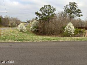 334 Byhailia Creek Farm Road - Photo 1