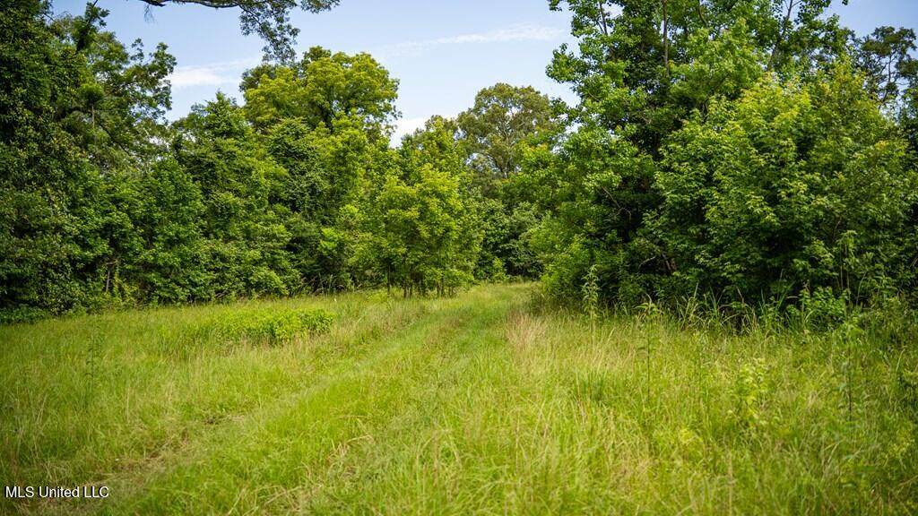 300 Mount Pleasant Road - Photo 1