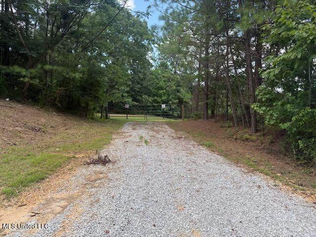 2555 Laws Hill Road - Photo 1
