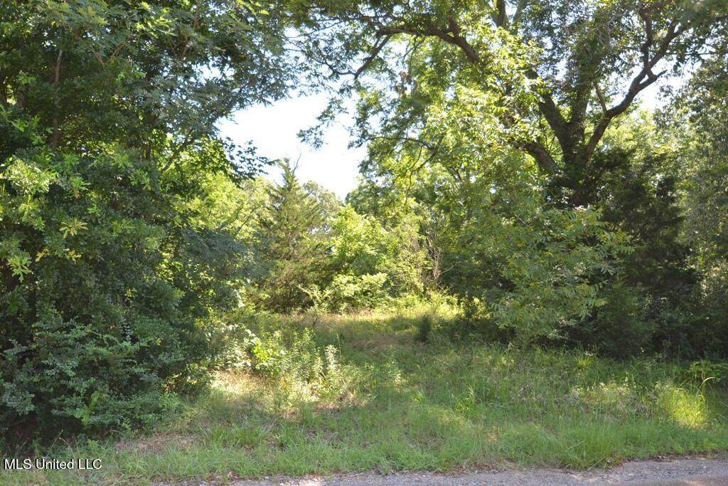 7730 Dunn Lane - Photo 1