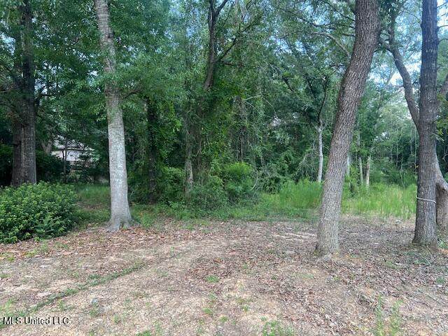 8818 Manoo Place - Photo 1