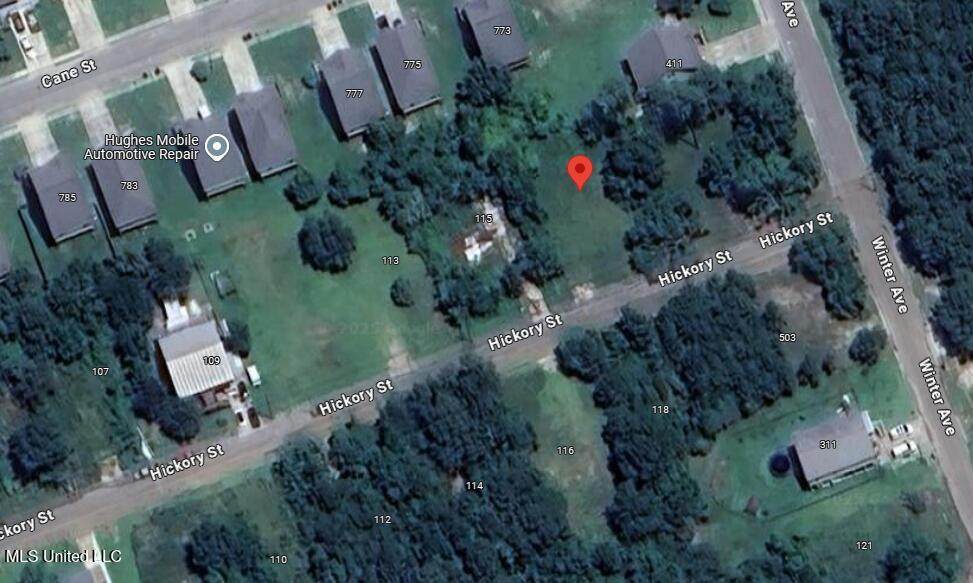 117 Hickory Street - Photo 1