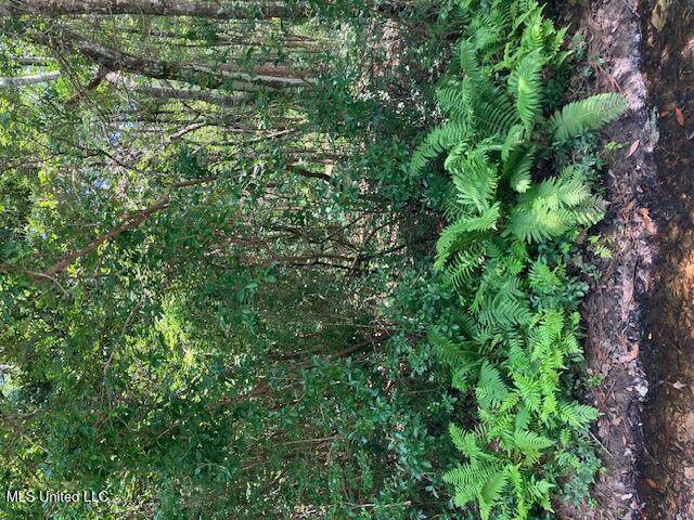 No Cullens Street - Photo 1