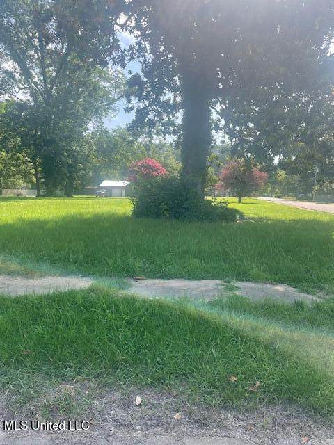 0000 Sycamore Street - Photo 1