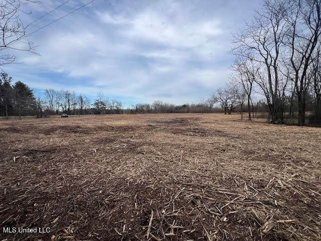 2415 Lamar Road - Photo 1