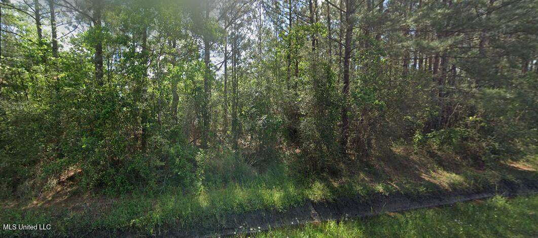 0 Cameo Street - Photo 1