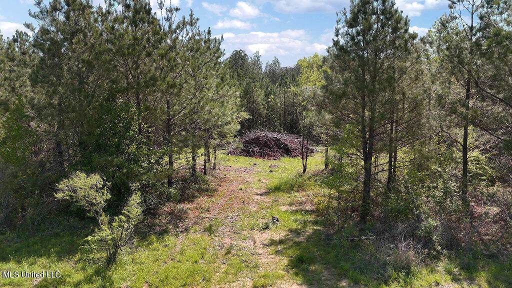 290 Mt. Helm Road - Photo 1