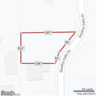  Destiny Oaks Drive - Photo 1