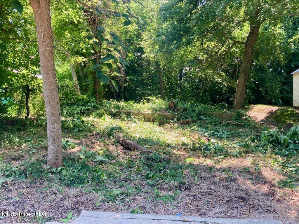 55 Oak Street - Photo 1