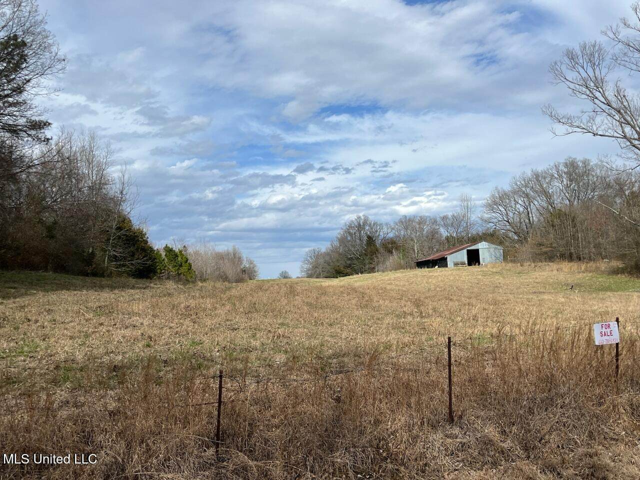 207 Wallace Drive - Photo 1