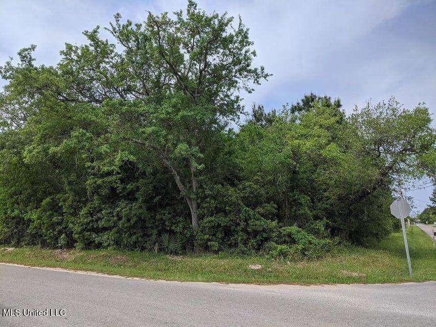 0 Chapman & Garden Rd Road - Photo 1