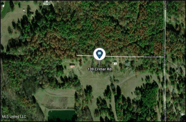 139 Critter Road - Photo 1