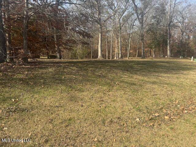  Bluff Hills Place - Photo 1