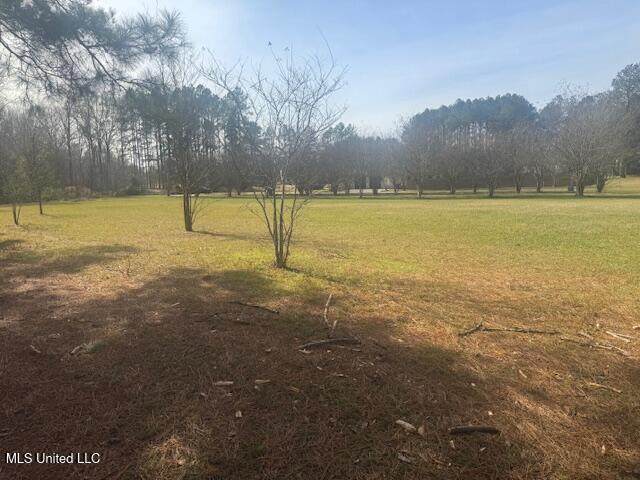  Club Drive - Photo 1