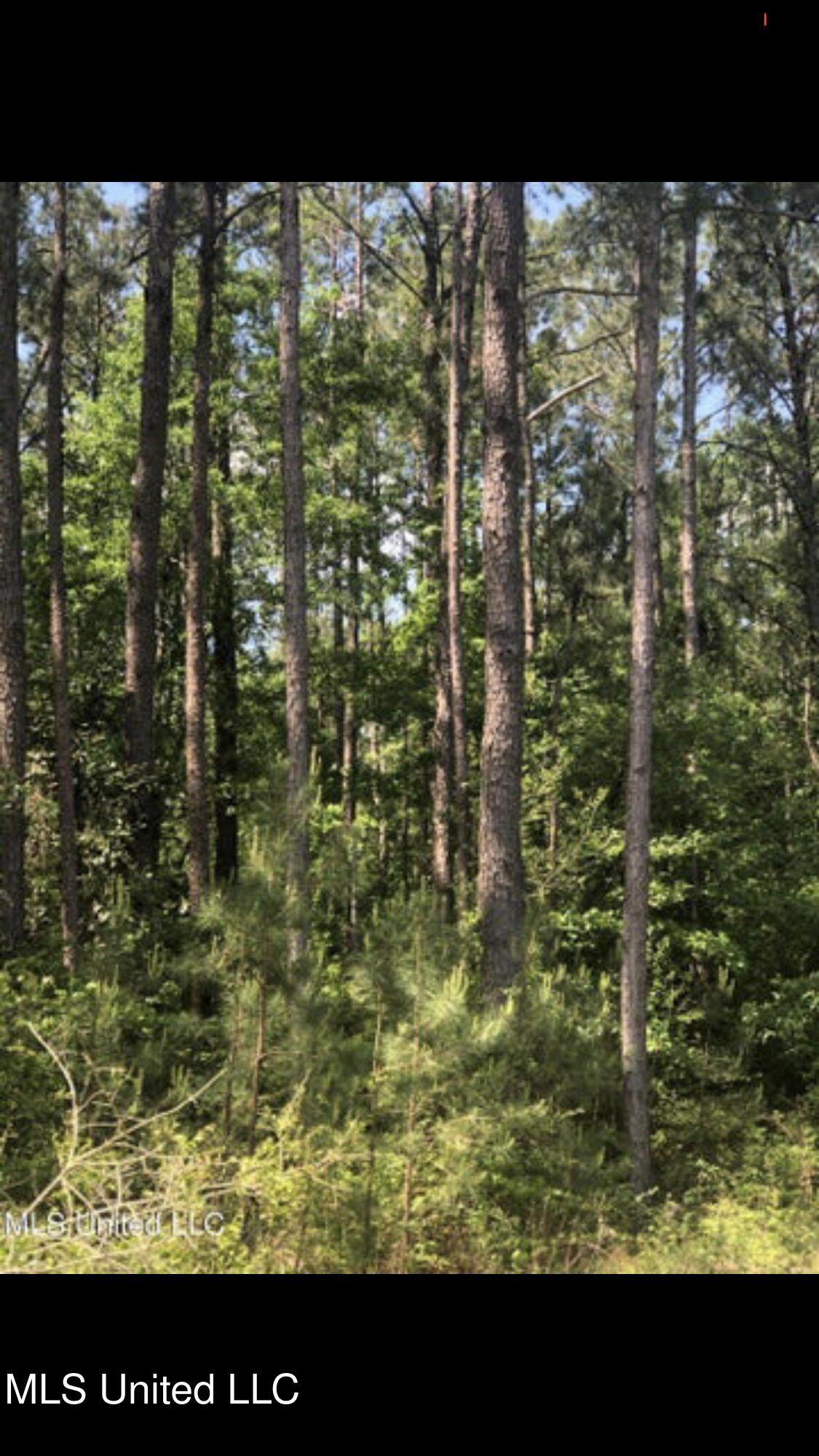 No Shows Road - Photo 1