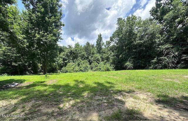  Old Hwy 49 - Photo 1