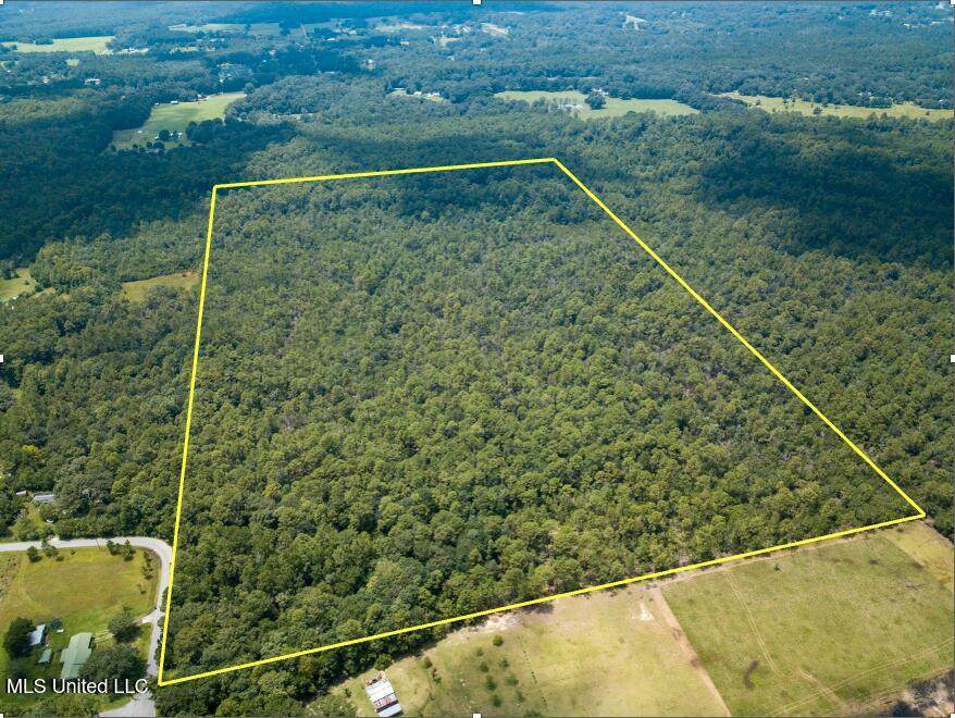  Rayford Shumock Rd - Photo 1