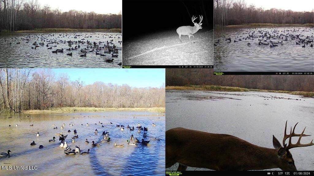 1 Rodney Bend Road - Photo 1