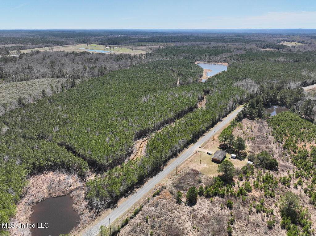 7 E Of Quit-Desoto Road - Photo 1