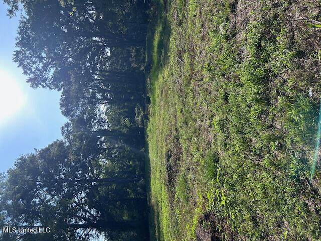 4528 Hanging Moss Road - Photo 1