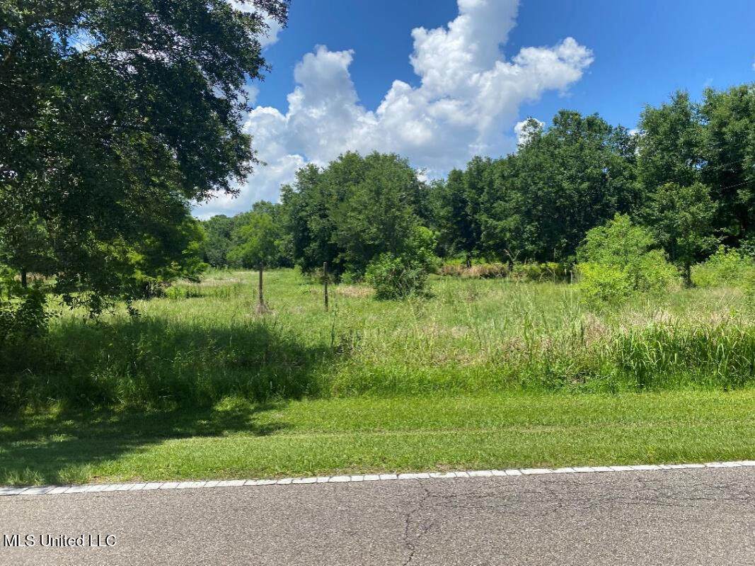 4236 Brodie Road - Photo 1