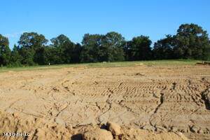 31 Chapel Hill Subdivision - Photo 1