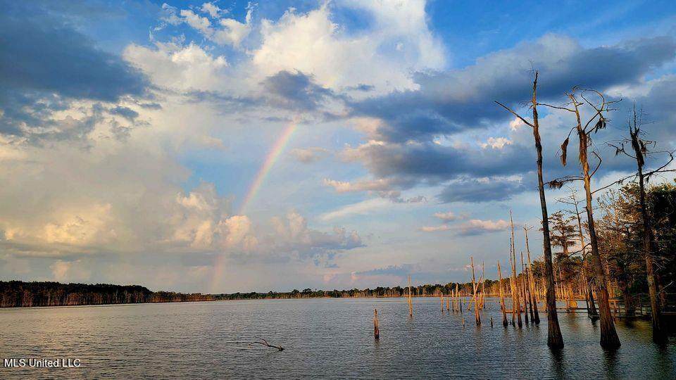 0 Pecan Grove Road - Photo 1