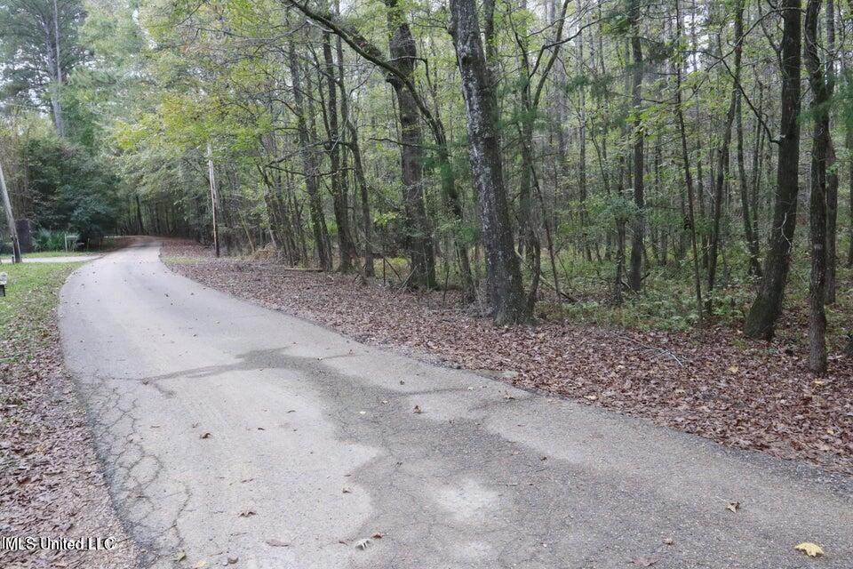 0 Westline Lots Drive - Photo 1