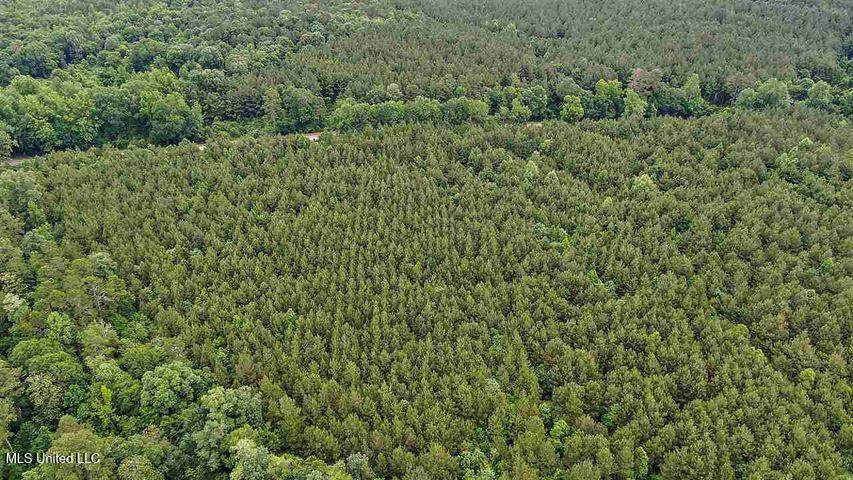 02 Highway 28 - Photo 1