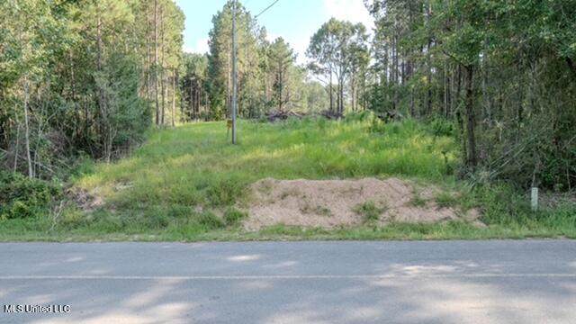 174 Pap Armstrong Road - Photo 1