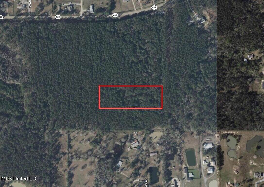 32505 Chapel Pine Drive - Photo 1