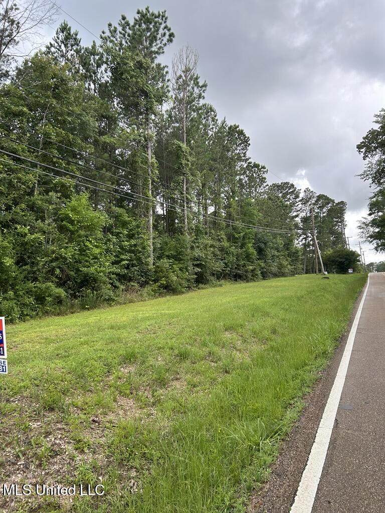 0 Old Whitfield Road - Photo 1