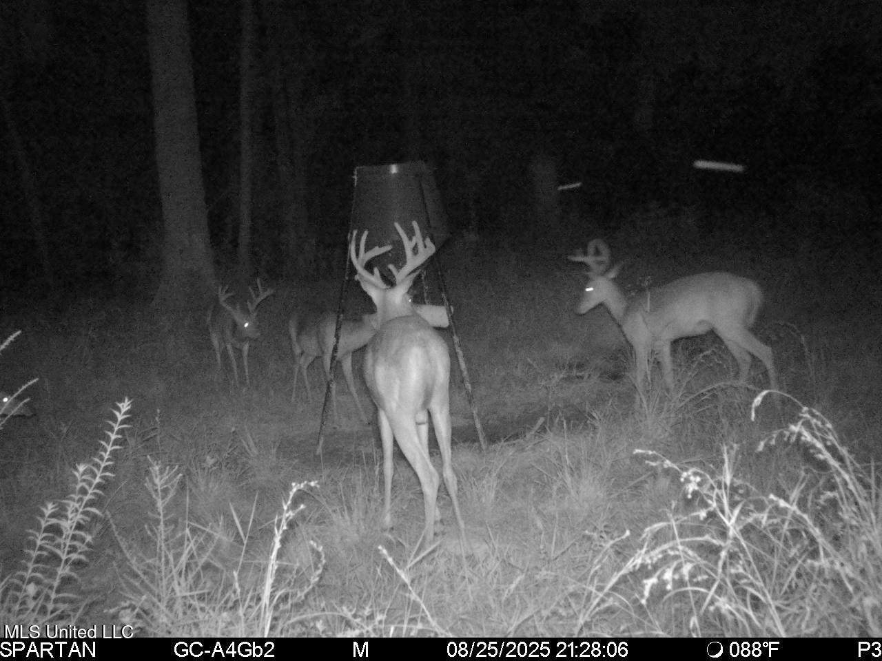 38774 Mccarrol Rd Road - Photo 1