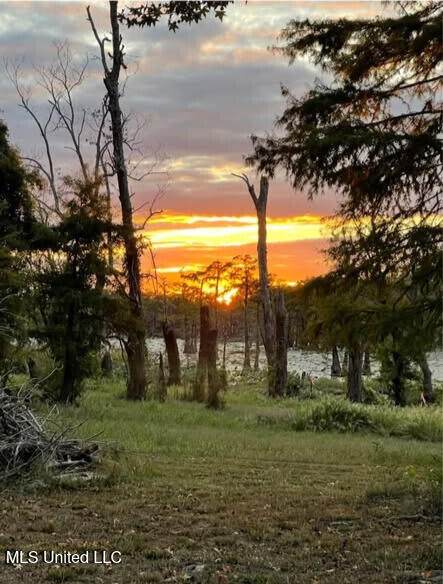 1743 The Rocks Road Road - Photo 1