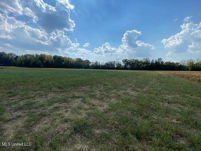  10 1/2  Acres Smith - Photo 1