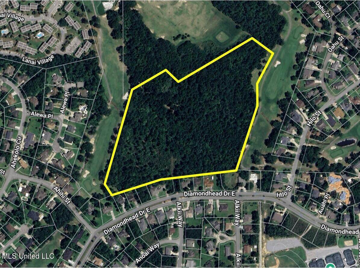 0 Diamondhead Drive - Photo 1