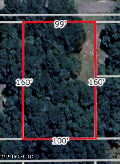 0 N Pine Ext Road - Photo 1