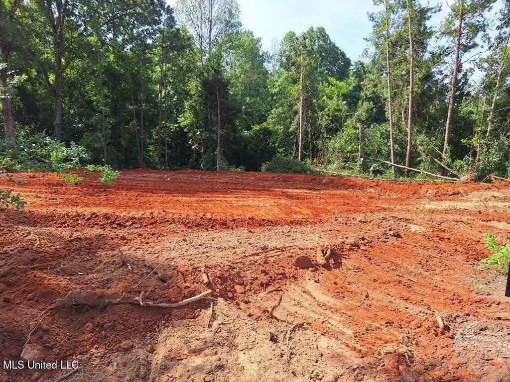 1063 Dry Creek Road - Photo 1