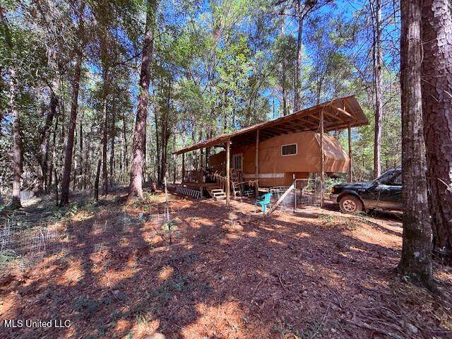 427 Ginntown Road - Photo 1