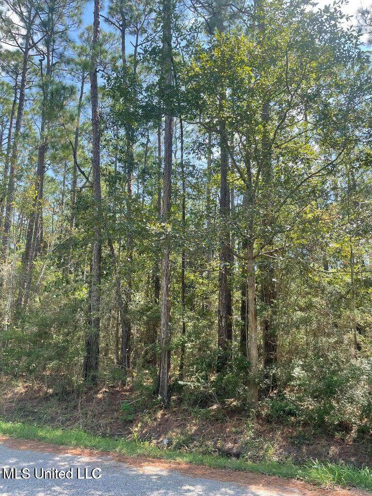 Lot 22 Sycamore Drive - Photo 1
