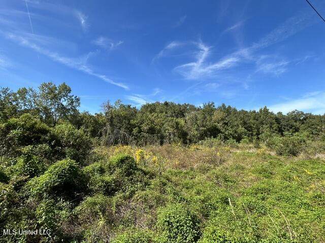 Lot 6 Hope Lane - Photo 1
