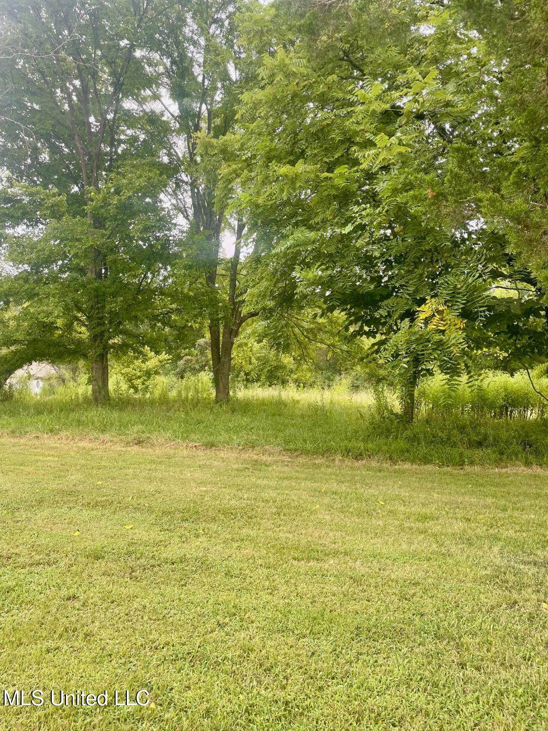 2 Mockingbird Road - Photo 1