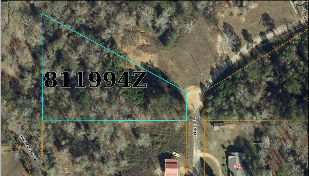 X Wild Estates Road - Photo 1
