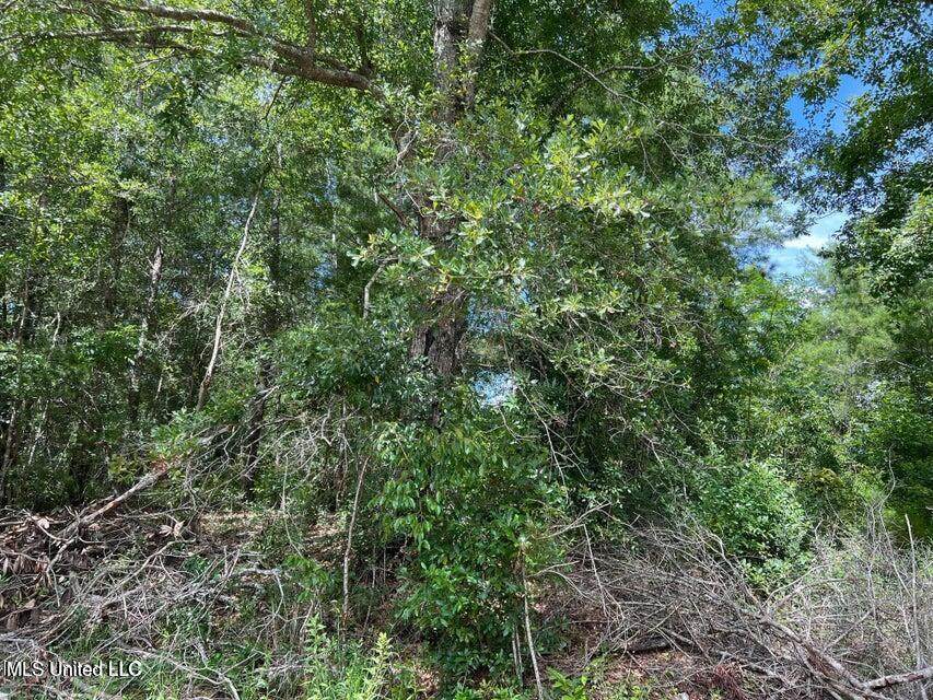  Sampras Boulevard - Photo 1