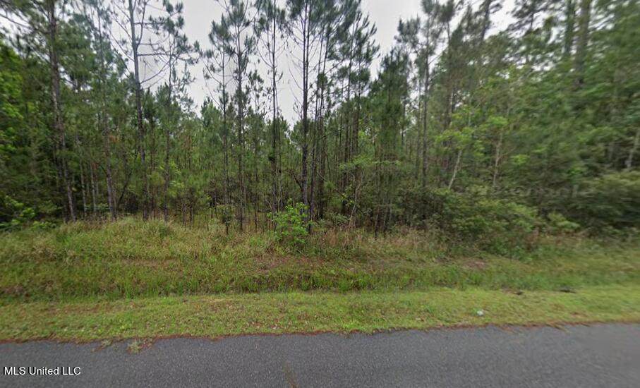 7268 Walthall Street - Photo 1