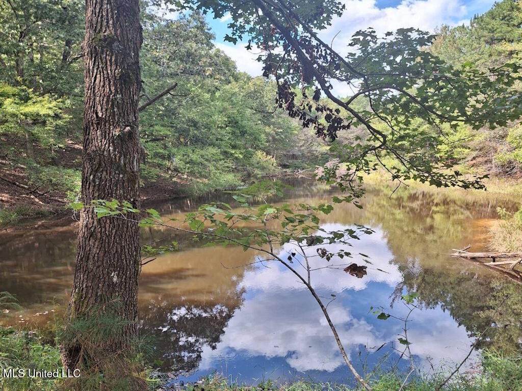 1788 County Road - Photo 1